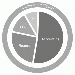 business intelligence accounting finance and reporting capitol raise